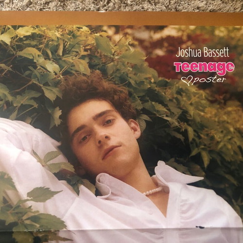 Joshua Bassett poster like new from Teenage girl magazine