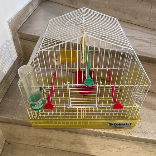 Bird cage used in excellent condition