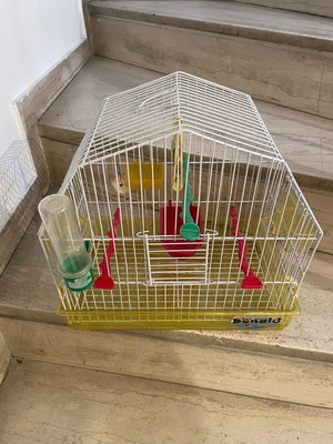 Bird cage used in excellent condition