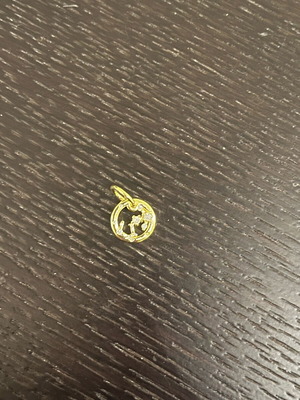 Pandora Charms καινούργιο, χρυσαφί