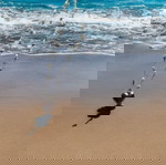 Ασημένιο Κολιέ με Καρδιά & Λευκές Πέρλες