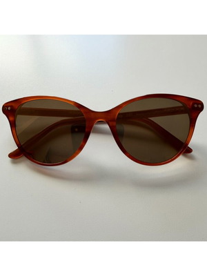 Paul Frank sunglasses