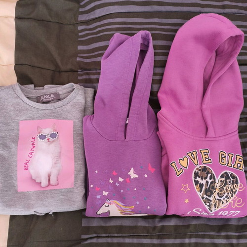 Girls' pack hoodie No6 and ANKA dress used, multicolor