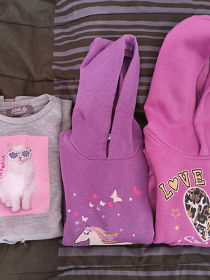 Girls' pack hoodie No6 and ANKA dress used, multicolor