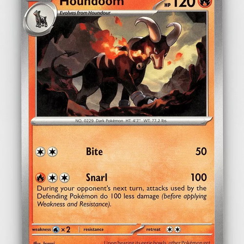 Houndoom 008/064 new collectible Pokemon card