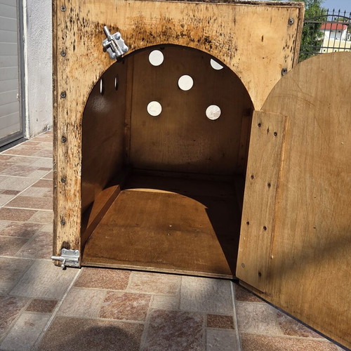 Wooden dog transport cage with tow hitch