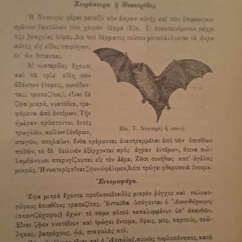 Natural History 1913 hardcover book with wood engravings