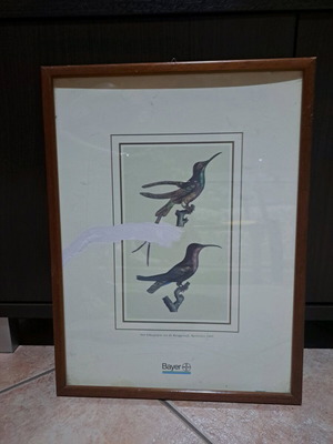 Wooden wall frame used with glass 42x32cm