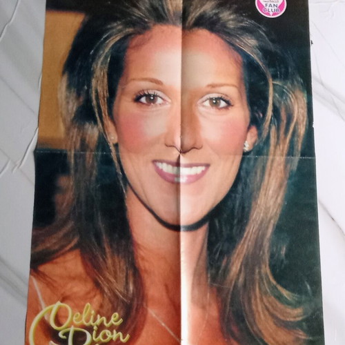 Celine Dion posters set 90s nostalgia like new