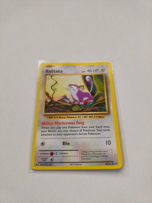 Pokemon Rattata Evolutions XY 2016 Near Mint