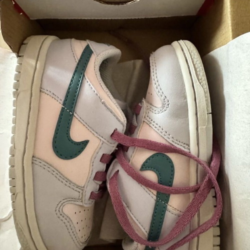 Nike Dunk Low girls' shoes size 25 used