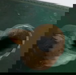 μικρή κανάτα μπρουτζινή μασίφ