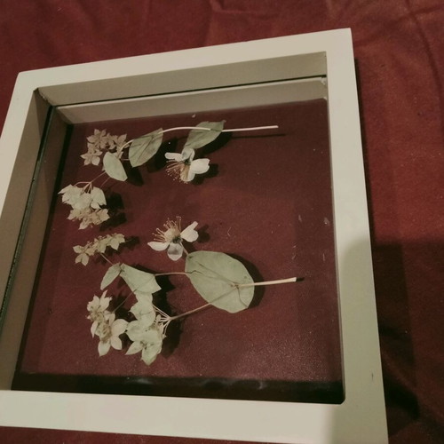 Transparent frame with dried flower composition like new