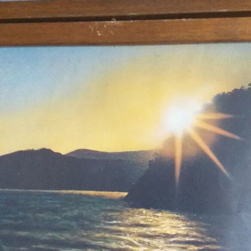 Vintage framed prints used, set of 6 with wooden frame and matte plastic glass