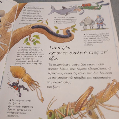 Book "I Want to Know Why: Camels Have Humps" used, vintage 1996