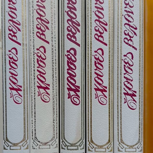 Chryses Velones Practical Encyclopedia of Handicrafts 5 Volumes like new