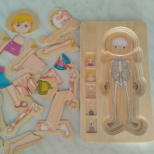 Wooden puzzle human body multi layer like new
