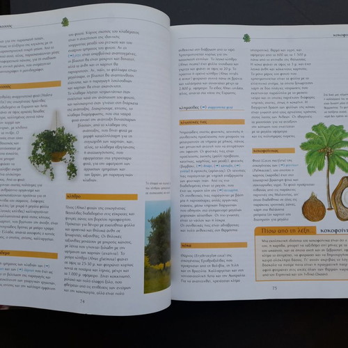 Book The World of Plants like new, large with thick cover