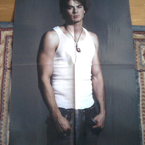 Ian Somerhalder & Desperate Housewives poster like new