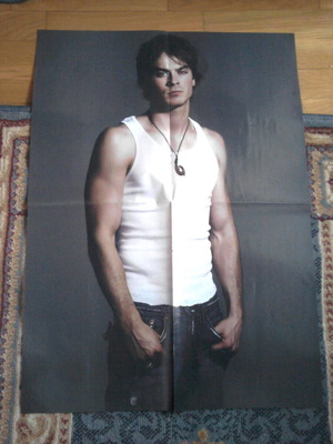 Ian Somerhalder & Desperate Housewives poster like new