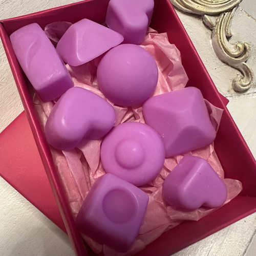 Wax Melts Coconut Scented Gift Set 120g, New