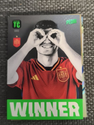 Panini Top Class 2024 No196 like new