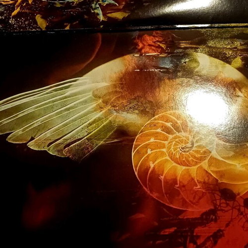 Paradise Lost Draconian Times double LP used, metal