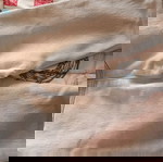  Βρεφικά παντελόνια για αγόρι
