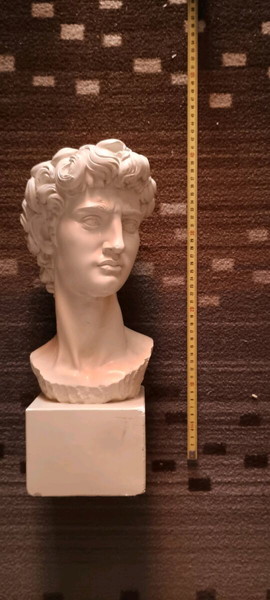 Vintage Cast Plaster Bust Michelangelo's David Silvestri Bros. Corp.