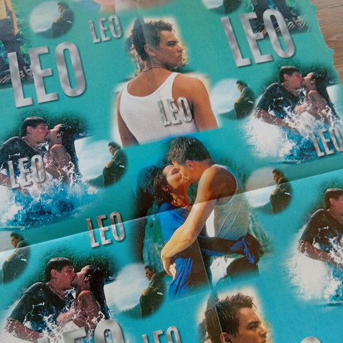 Leo poster 38x55cm like new, collectible