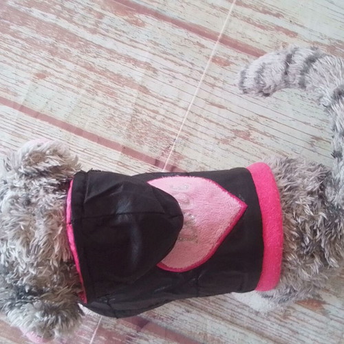 Chi Chi Love Cat Carrying Bag like new