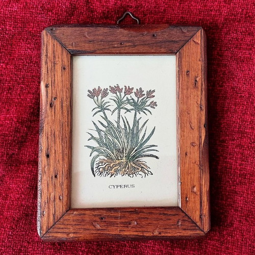 Collection of 3 mini frames with wooden frame like new