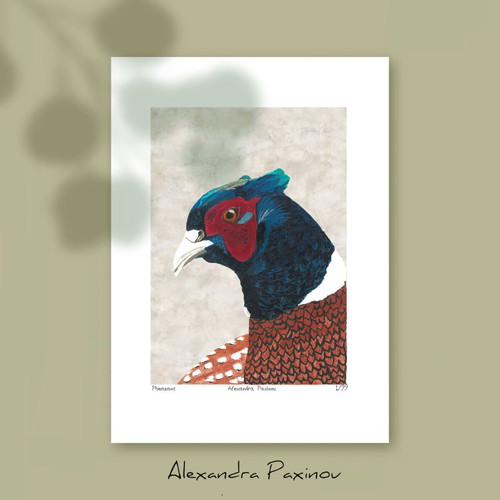 Pheasant Limited Edition Print New, Numbered A3