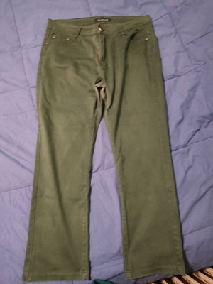Pants used, cypress color