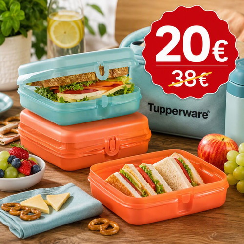 Tupperware set of 2 sandwich containers new