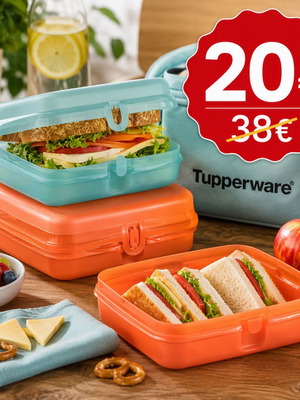 Tupperware set of 2 sandwich containers new