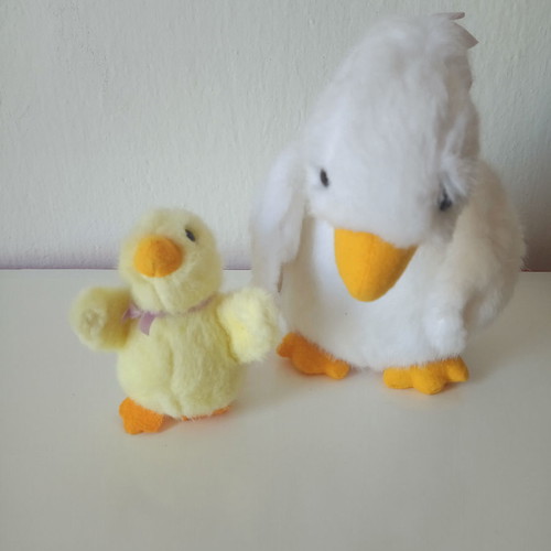 Ducks new set with large and small duck
