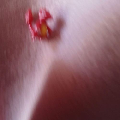 Pokemon Charmeleon mini figure, Gen 1