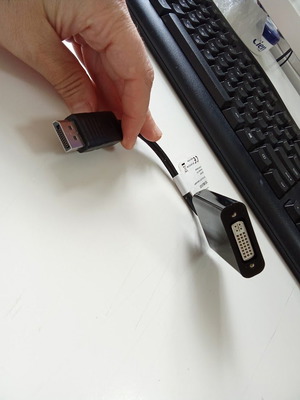 DisplayPort M to DVI-F Adapter 10cm Black new