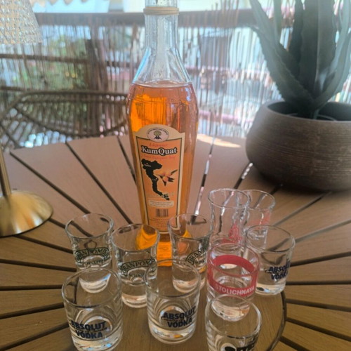 Shot glass set with 10 glasses and one opened Kumquat bottle like new