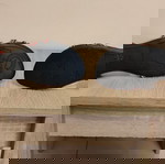  Γυναικείες σαγιονάρες COOL WAY No 40