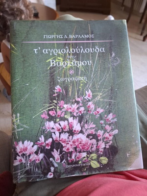 T' Agriolouloudo Book by Giorgis D. Varlamos, like new, arts