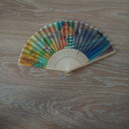 Antique old fan