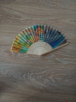 Antique old fan