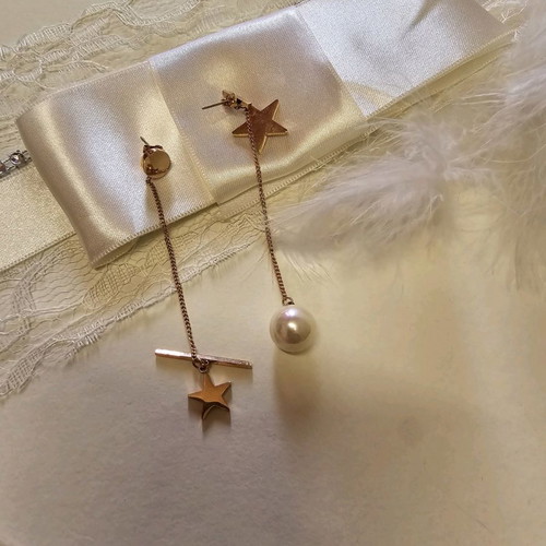 Original stainless steel earrings
