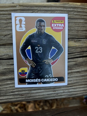 Caicedo extra sticker bronze, like new