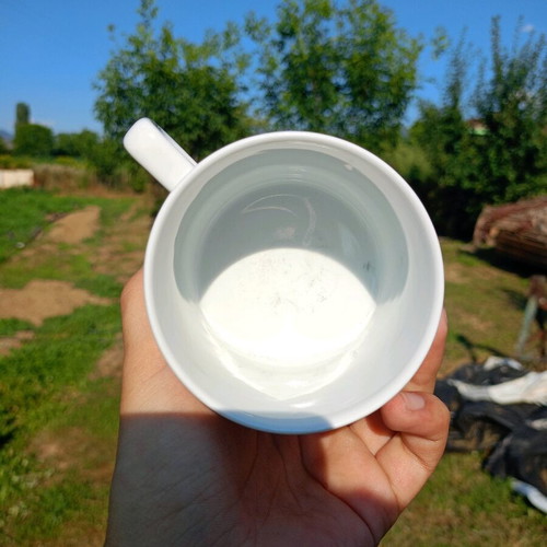 White mugs used, pack of 19, 300ml