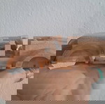  αυτοκίνητο ξύλινο από Δημητσάνα..