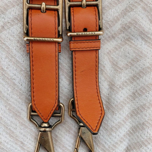 Burberry Sheldon handbag used with crossbody strap