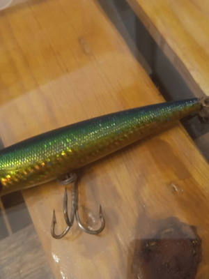 Daiwa Saltiga Pencil Mahi Mahi used fishing lure